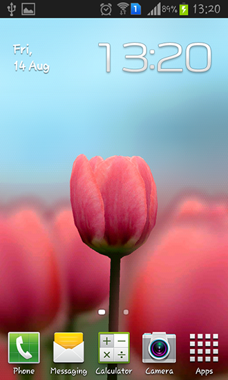 Tulipa 3D - baixar grátis papel de parede animado Flores para Android.