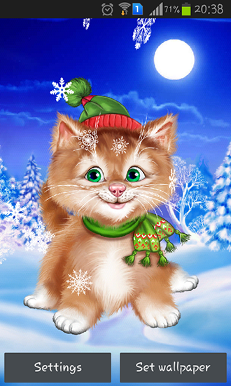 Gato de inverno - baixar grátis papel de parede animado Animais para Android.