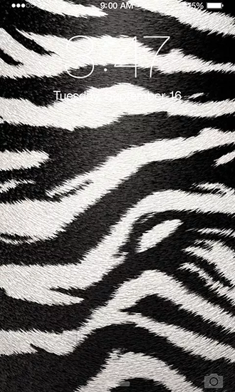 Baixar grátis o papel de parede animado Zebra para celulares e tablets Android.