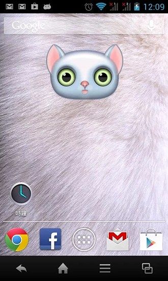 Zoo: Gato - baixar grátis papel de parede animado Vetor para Android.
