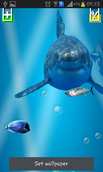 Baixar Tubarão irritado: Tela rachada - papel de parede animado gratuito para Android para desktop. 