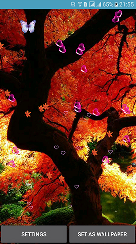 Captura de tela do Outono  em telefone celular ou tablet.