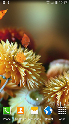 Captura de tela do Flor do outono  em telefone celular ou tablet.