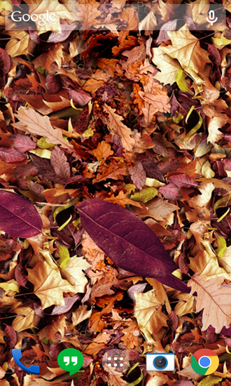 Baixar Folhas de Outono - papel de parede animado gratuito para Android para desktop. 
