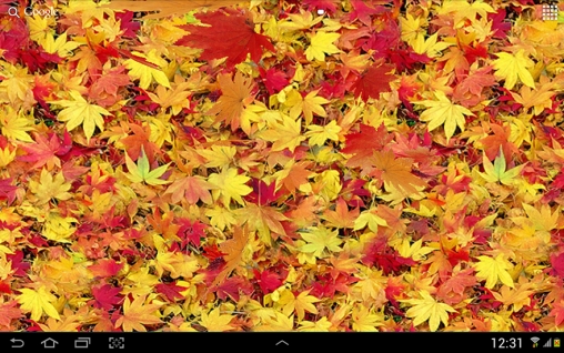 Baixar Folhas de outono 3D - papel de parede animado gratuito para Android para desktop. 