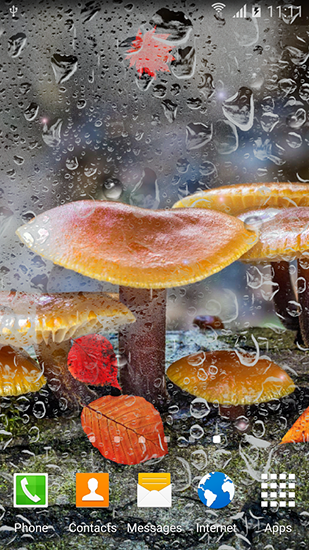 Baixar Cogumelos do outono - papel de parede animado gratuito para Android para desktop. 