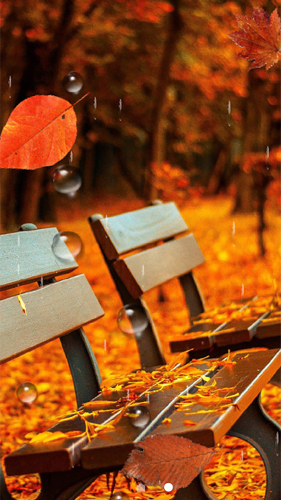 Captura de tela do Outono bonito  em telefone celular ou tablet.