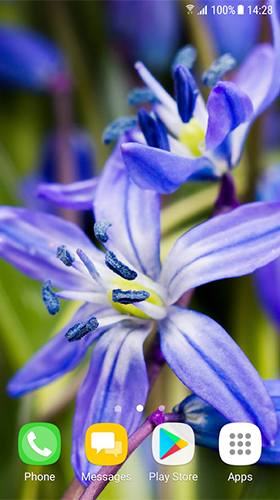Captura de tela do Lindas flores da primavera  em telefone celular ou tablet.