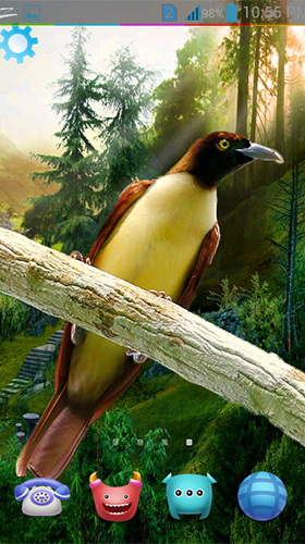 Captura de tela do Pássaros 3D  em telefone celular ou tablet.