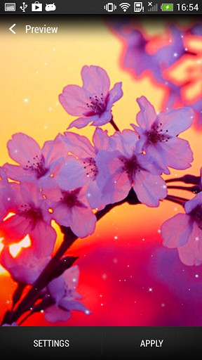 Baixar A flor de cerejeira - papel de parede animado gratuito para Android para desktop. 