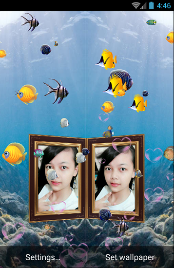 Baixar Fotos em aquário - papel de parede animado gratuito para Android para desktop. 