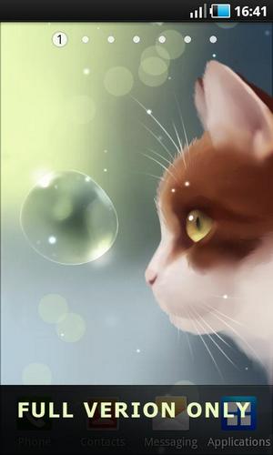 Baixar Gato curioso - papel de parede animado gratuito para Android para desktop. 