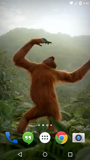 Baixar Macaco que dança - papel de parede animado gratuito para Android para desktop. 