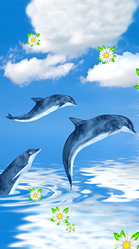 Captura de tela do Golfinhos  em telefone celular ou tablet.