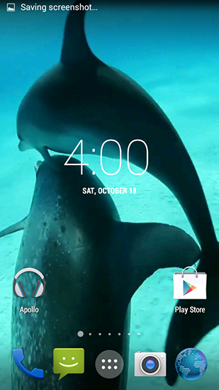 Baixar Golfinhos HD - papel de parede animado gratuito para Android para desktop. 