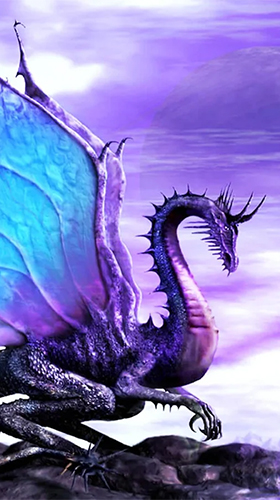 Captura de tela do Dragão  em telefone celular ou tablet.