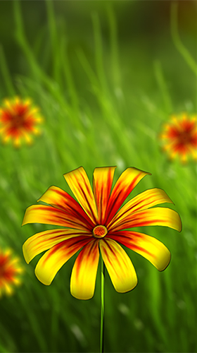 Captura de tela do Flor 360 3D  em telefone celular ou tablet.