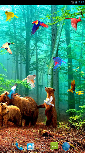 Captura de tela do Aves da floresta  em telefone celular ou tablet.