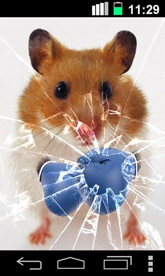 Baixar Hamster engraçado: Tela rachada - papel de parede animado gratuito para Android para desktop. 