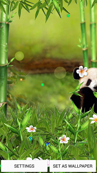 Baixar Panda engraçado - papel de parede animado gratuito para Android para desktop. 