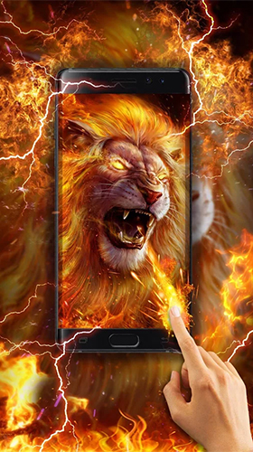 Captura de tela do Leão dourado  em telefone celular ou tablet.