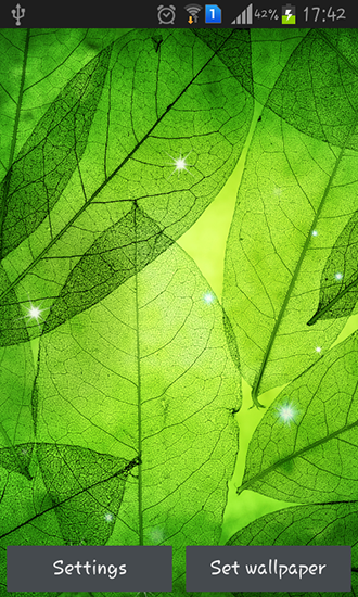 Baixar Folhas verdes - papel de parede animado gratuito para Android para desktop. 