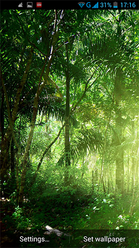 Captura de tela do Selva  em telefone celular ou tablet.