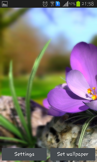 Baixar Natureza ao vivo: Flores de Primavera 3D - papel de parede animado gratuito para Android para desktop. 