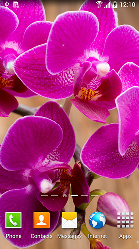 Captura de tela do Orquídeas  em telefone celular ou tablet.