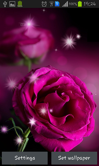 Baixar Rosas cor de rosa - papel de parede animado gratuito para Android para desktop. 