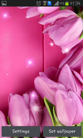Baixar Tulipas cor de rosa - papel de parede animado gratuito para Android para desktop. 