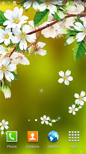 Captura de tela do Sakura  em telefone celular ou tablet.