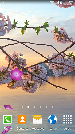 Baixar Jardins de Sakura - papel de parede animado gratuito para Android para desktop. 