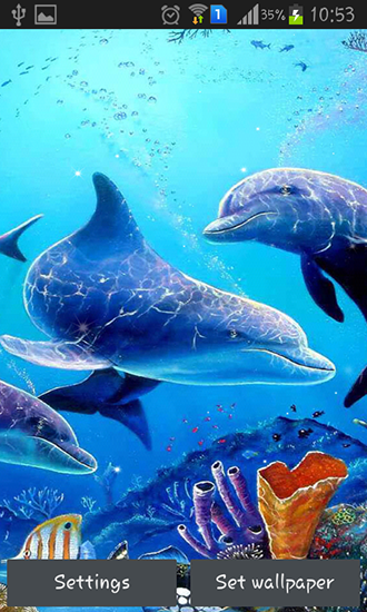 Baixar Golfinho do mar - papel de parede animado gratuito para Android para desktop. 