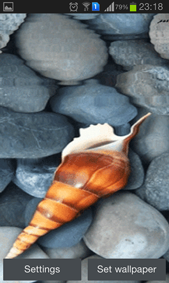 Baixar Concha do mar - papel de parede animado gratuito para Android para desktop. 