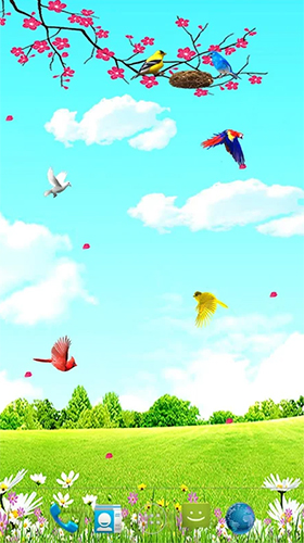 Captura de tela do Pássaros do céu  em telefone celular ou tablet.