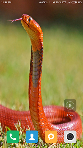 Captura de tela do Serpente HD  em telefone celular ou tablet.