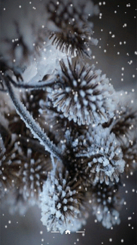 Captura de tela do Neve  em telefone celular ou tablet.