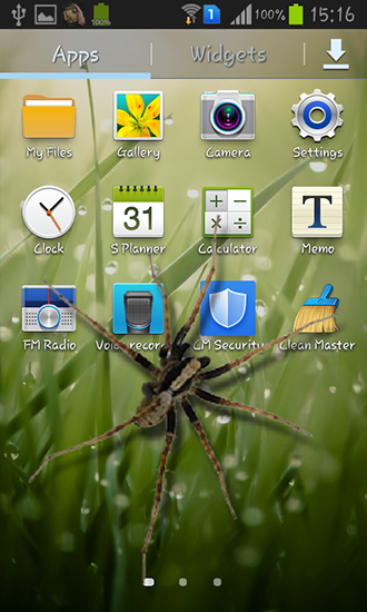 Baixar Aranha no telefone - papel de parede animado gratuito para Android para desktop. 