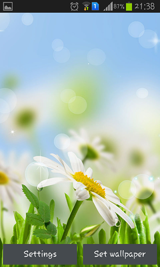 Baixar Flor da primavera - papel de parede animado gratuito para Android para desktop. 