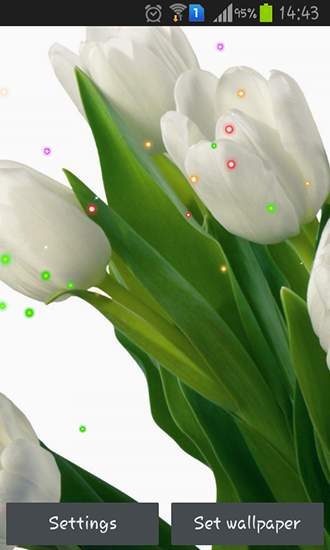 Baixar Lírios e tulipas da Primavera - papel de parede animado gratuito para Android para desktop. 