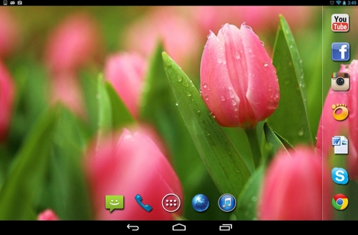 Baixar Chuva de primavera - papel de parede animado gratuito para Android para desktop. 