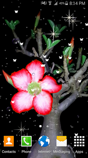 Baixar Flores do verão - papel de parede animado gratuito para Android para desktop. 