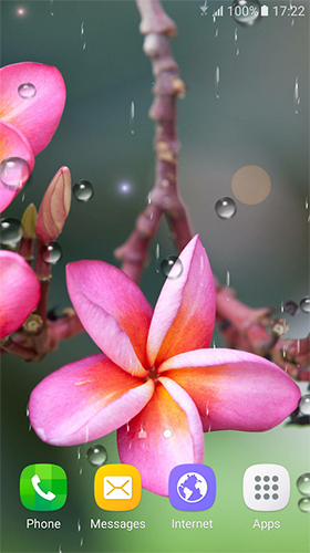 Captura de tela do Flores tropicais  em telefone celular ou tablet.