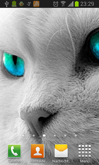 Baixar Os gatos brancos - papel de parede animado gratuito para Android para desktop. 