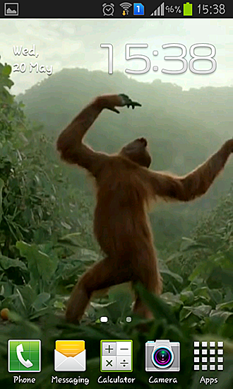 Baixar Dança selvagem do macaco louco - papel de parede animado gratuito para Android para desktop. 