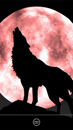 Captura de tela do Lobo  em telefone celular ou tablet.