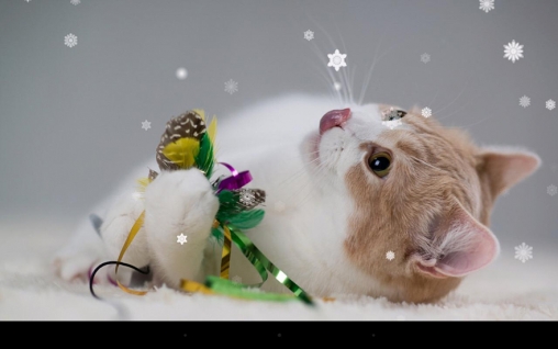 Baixar Gato de Natal - papel de parede animado gratuito para Android para desktop. 