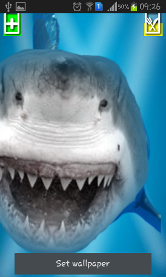 Captura de tela do Tubarão irritado: Tela rachada em telefone celular ou tablet.