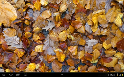 Captura de tela do Folhas de outono 3D em telefone celular ou tablet.
